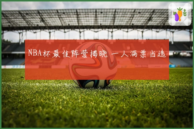 NBA杯最佳阵营揭晓 一人满票当选