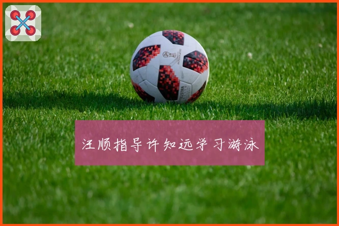 汪顺指导许知远学习游泳